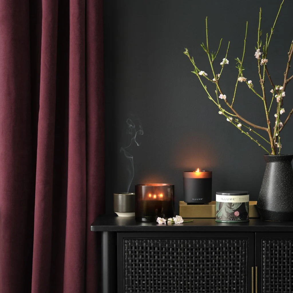 Blackberry Absinthe - Illume Candle