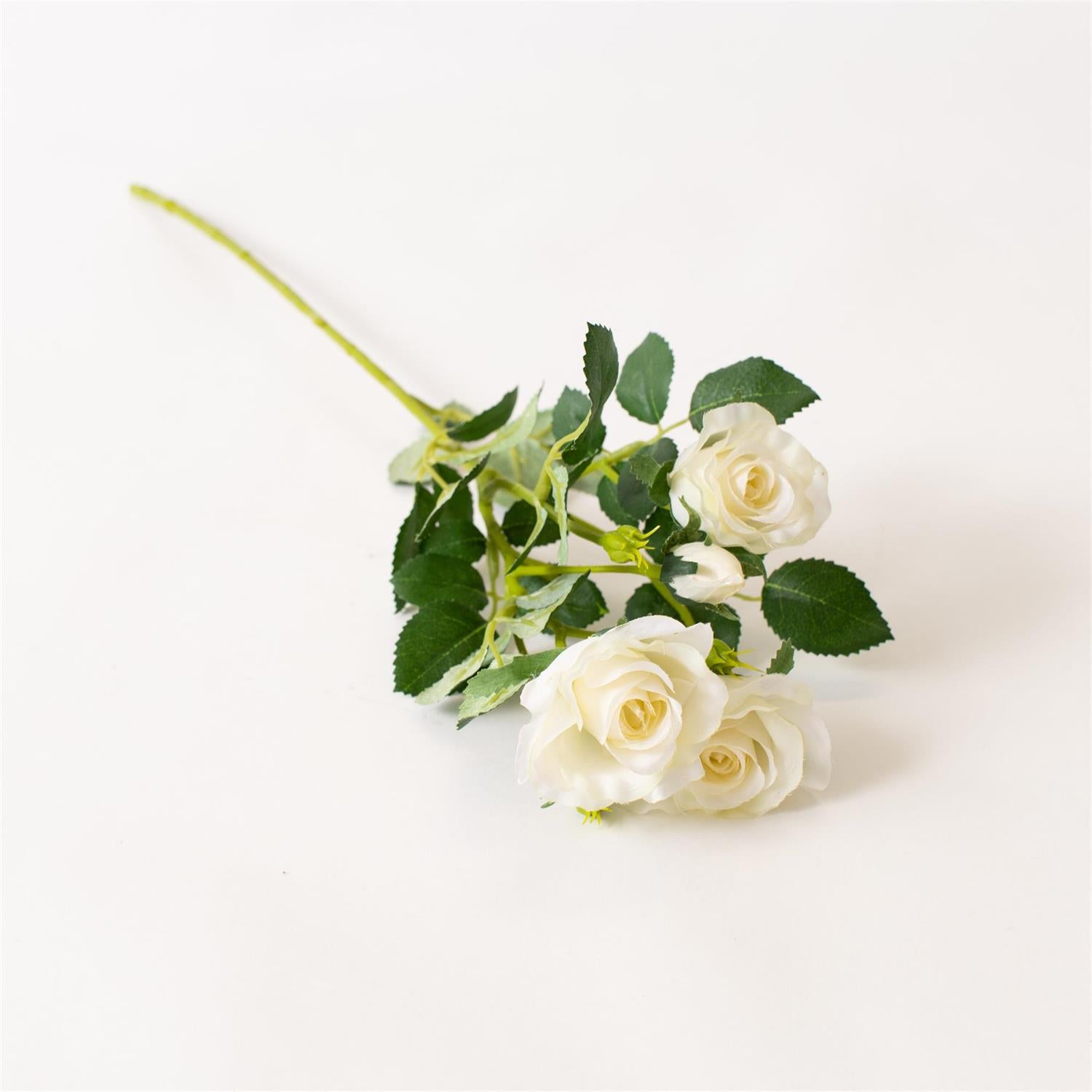 Bouquet of white roses with green leaves on a light background