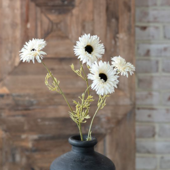 White Daisy Stem