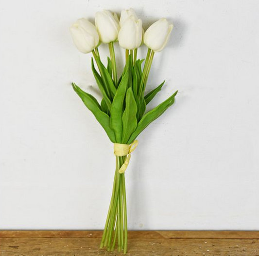 White Tulip Bundle