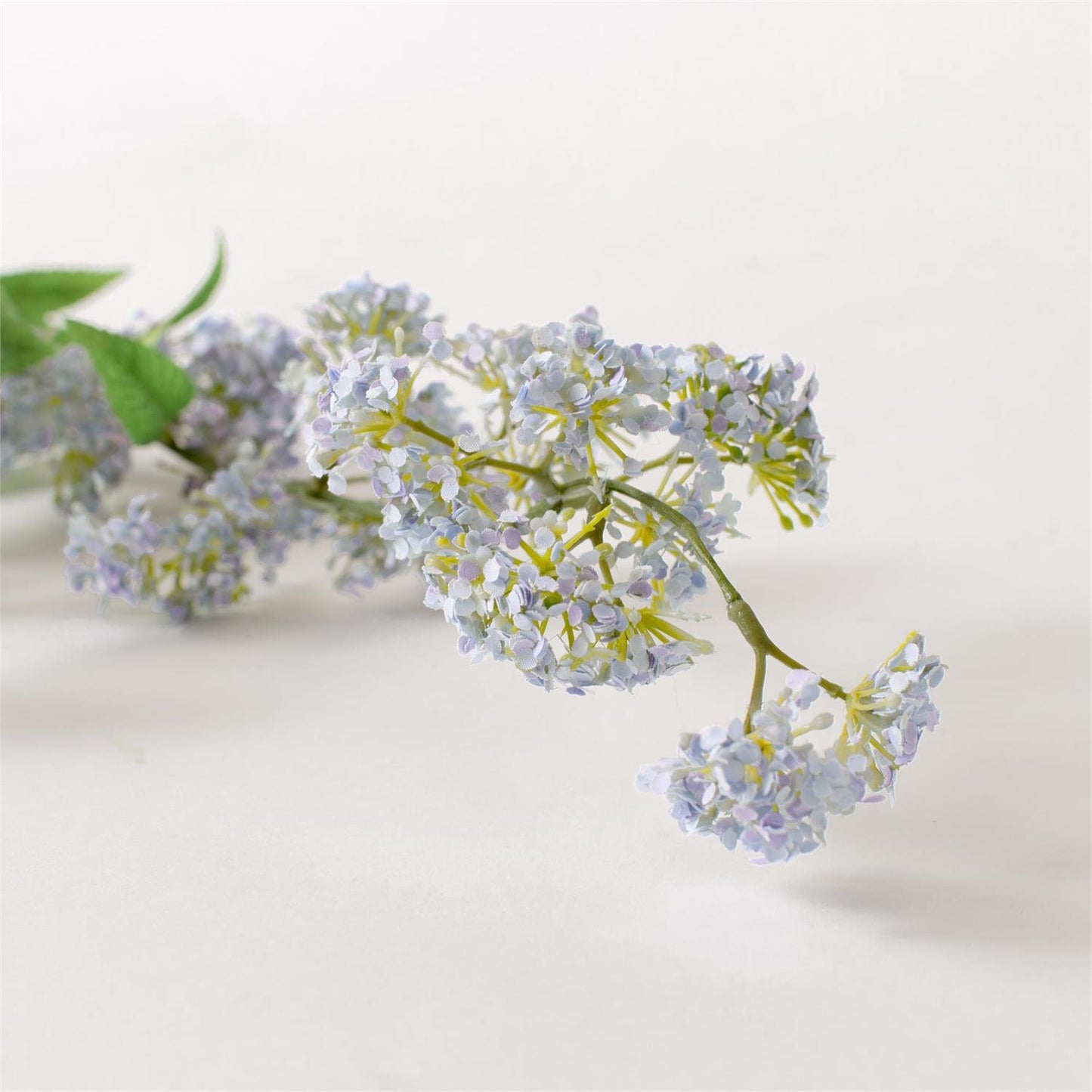 Close-up of white, purple, subtle yellow flowers with green stems on a light background