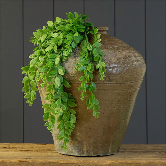 Decorative pot with green leaves against a dark wooden panel background