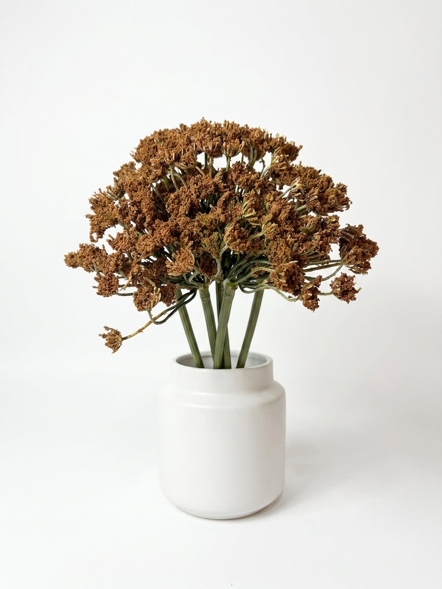 Dried brown flowers arranged in a white ceramic vase against a clean white background.