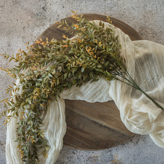 Harvest Fern Hanging Bush