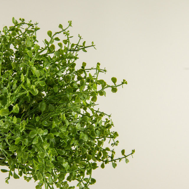 12" Baby Grass Bush