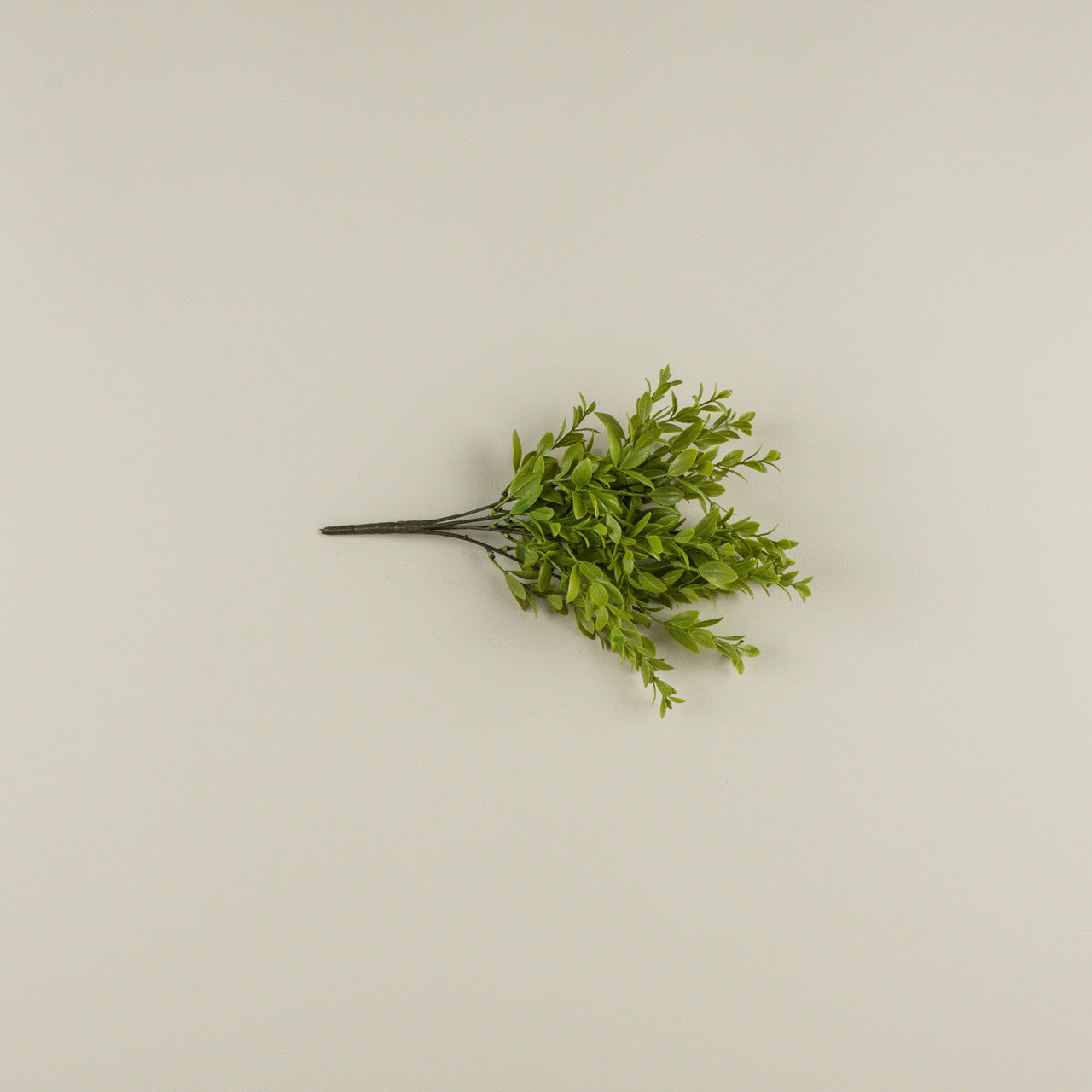 14" Ruscus Leaf Bush