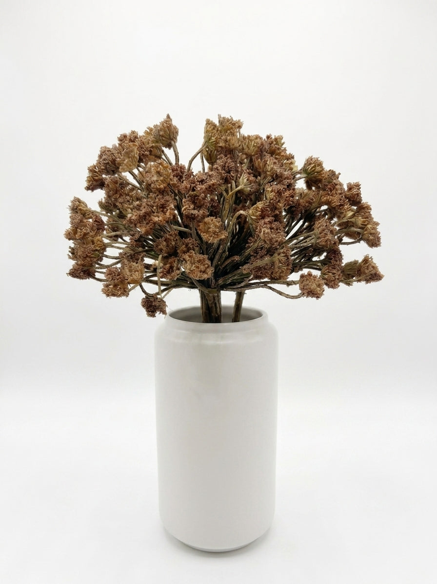 Group of dried flower stems