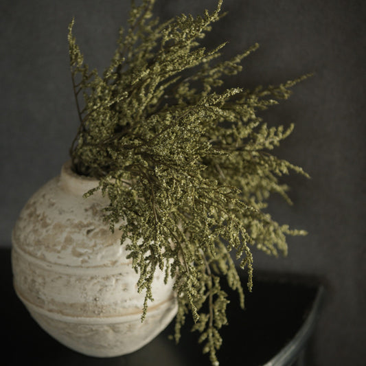 Green Dance Plant Bush