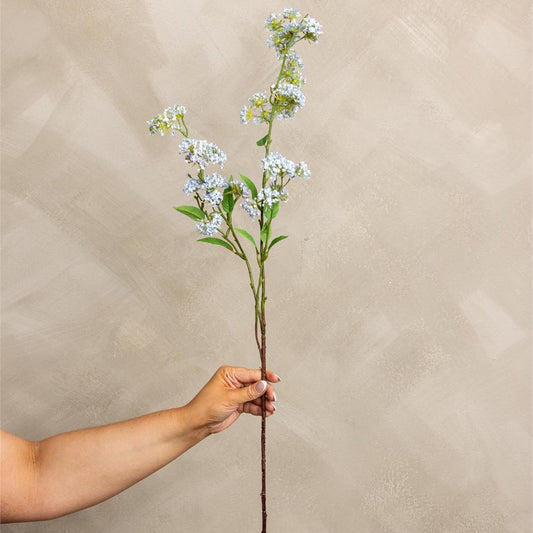 Hand holding a branch of small white flowers against a beige background