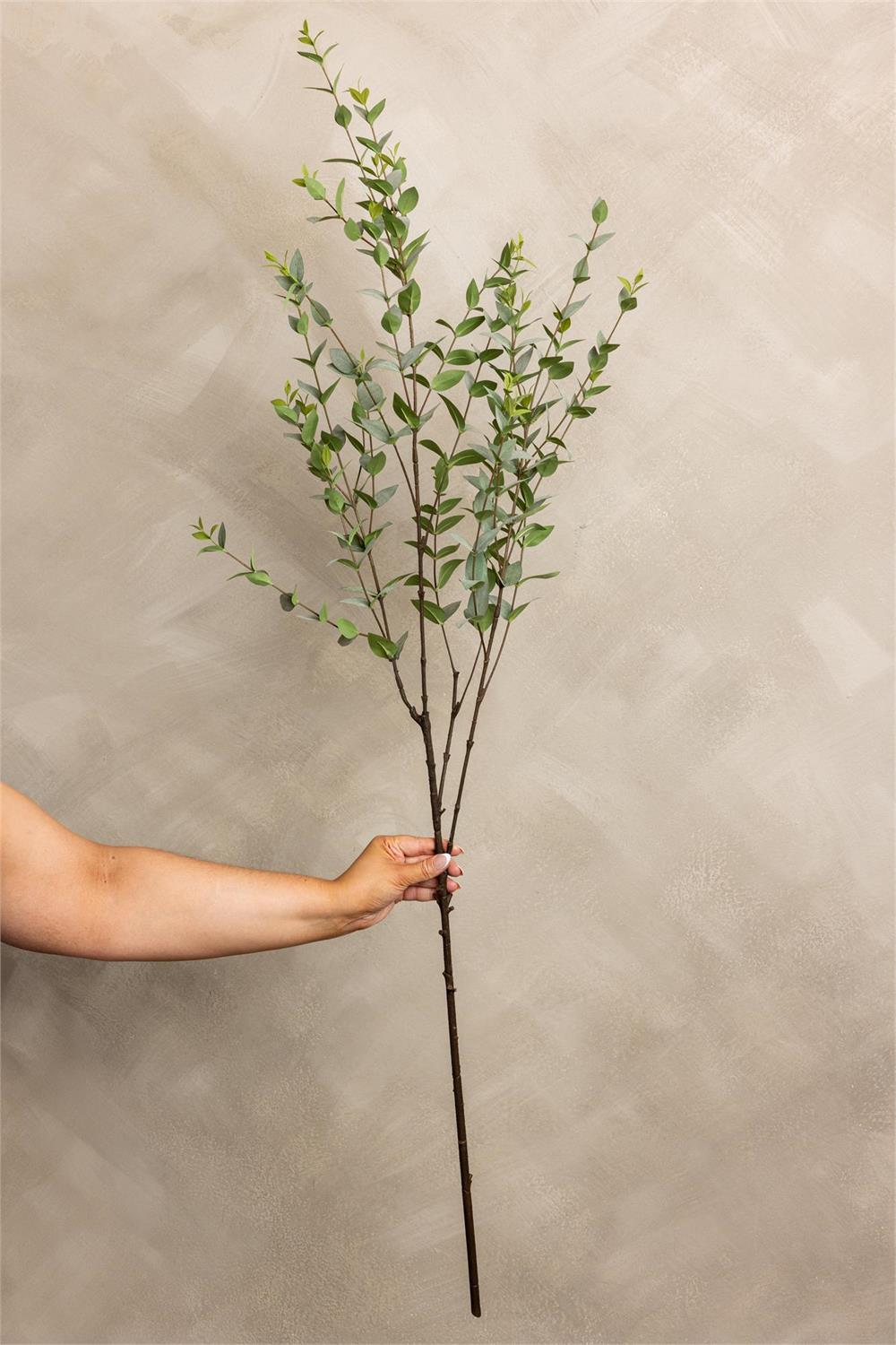 Hand holding a tall green leafy branch against a beige background