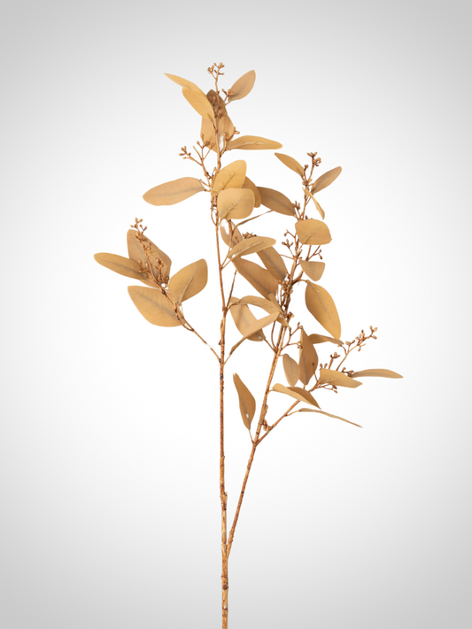 Amber Brown Eucalyptus
