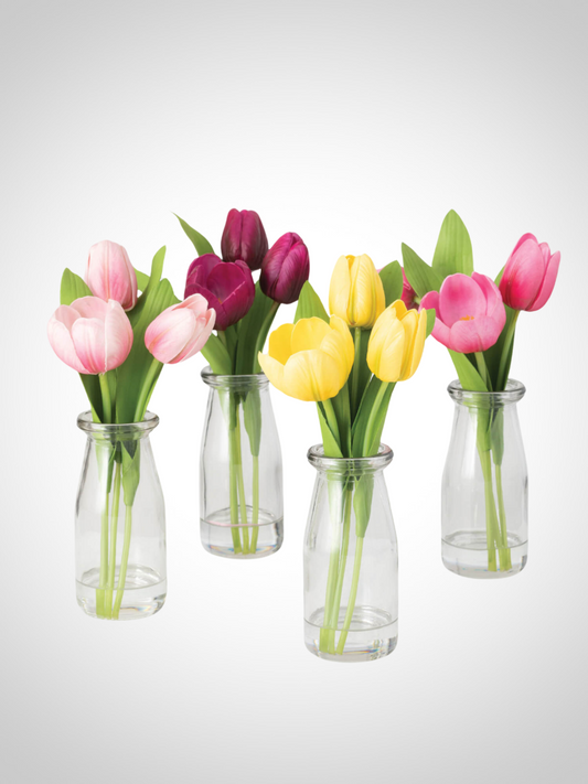 Tulip in Clear Vase