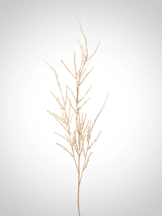 Spirea Spray
