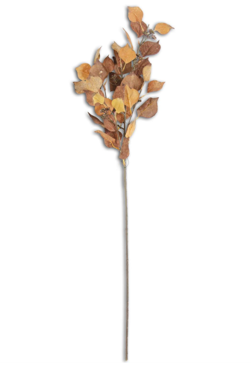 38" Mustard & Orange Eucalyptus Stem