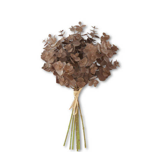 13.5" Brown Eucalyptus Bundle