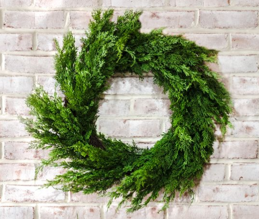 24" Lush Cedar Wreath