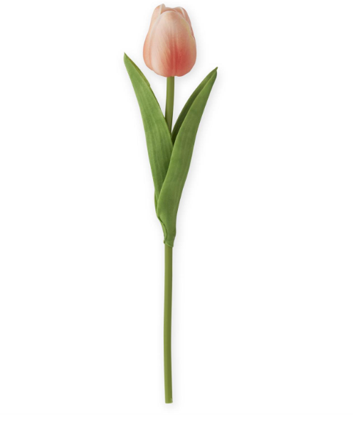 10.5" Dark Peach Tulip Stem