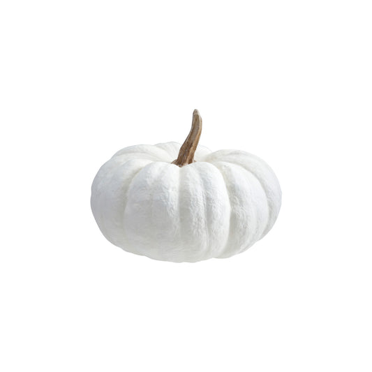 White pumpkin with a brown stem on a white background