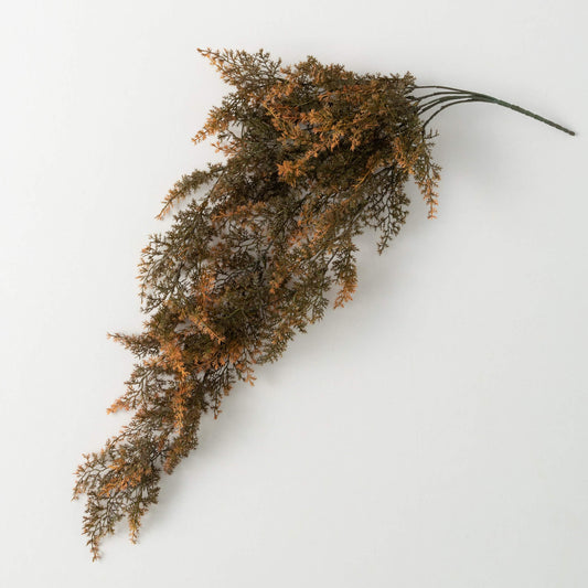 Hanging Cypress Bush