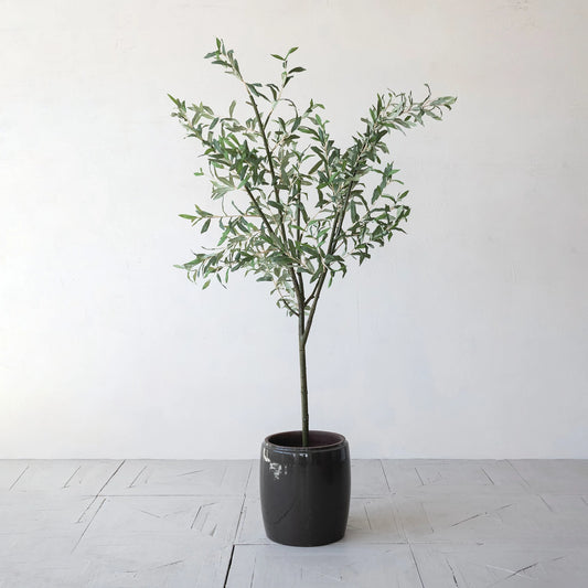 Potted Faux Olive Tree