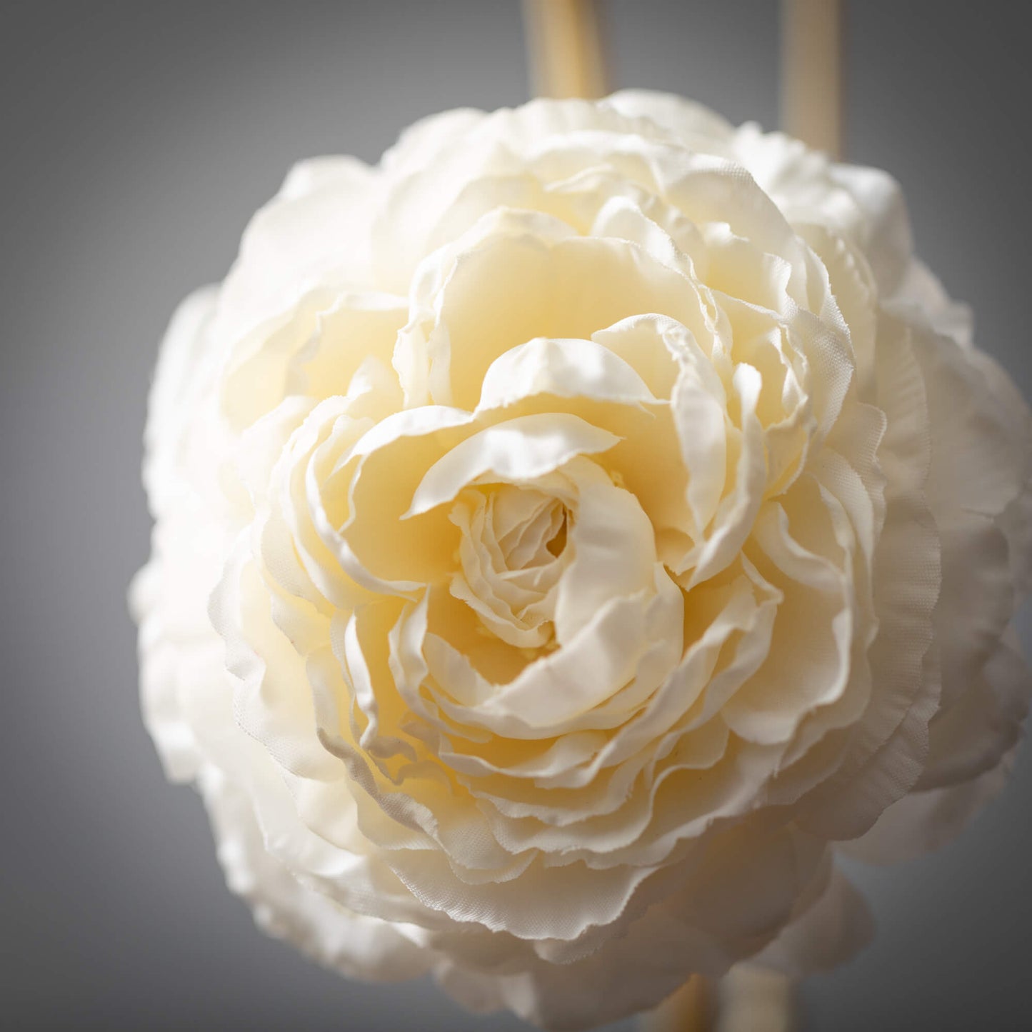 Cream Ranunculus Spray