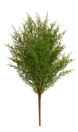 19" Cedar Picks
