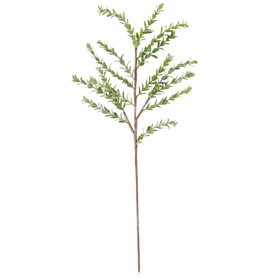Artificial thirty three inch myrtle branch  with green leaves and brown stem on a white background