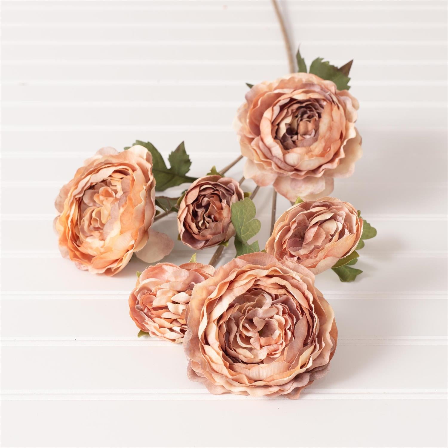 Bouquet of peach-colored flowers on a white background