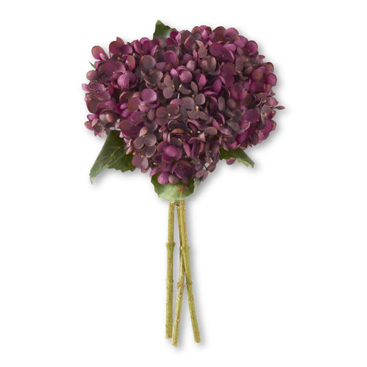 Bouquet of thirteen inch purple hydrangea with green leaves on a white background