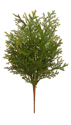 19" Cedar Picks