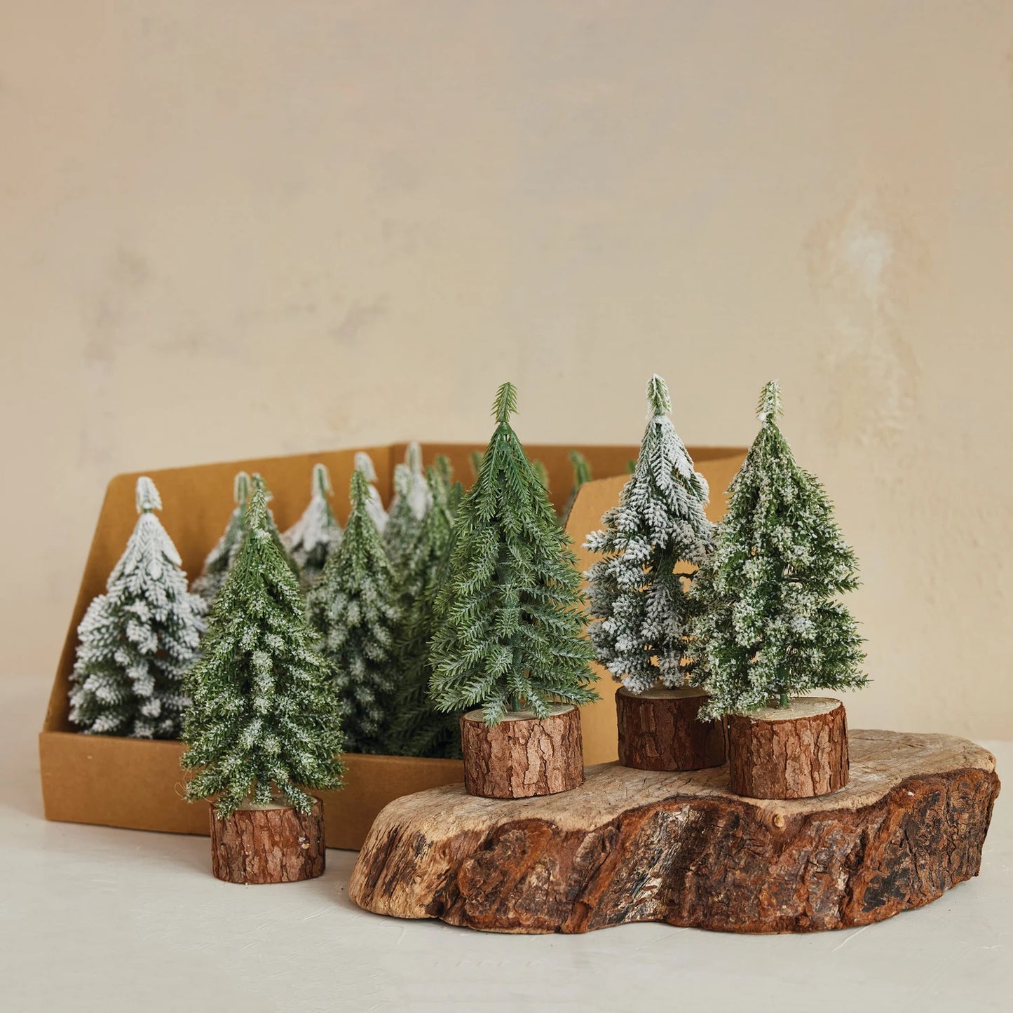 Mini Evergreen Tree with Wood Base