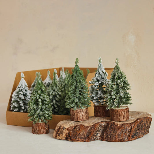 Mini Evergreen Tree with Wood Base