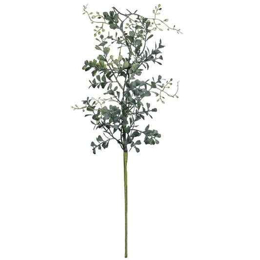 Blue Boxwood Spray