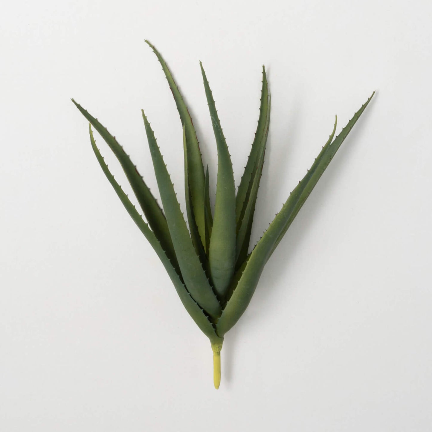 Aloe Spray