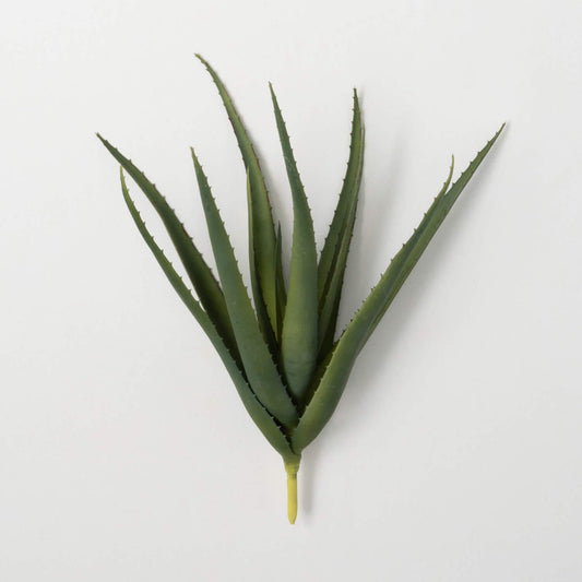 Aloe Spray