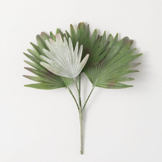 Dusty Green Palm Bush