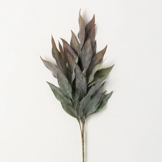 Purple Moody Foliage Stem