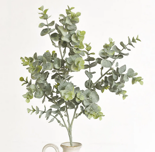 Eucalyptus Spray