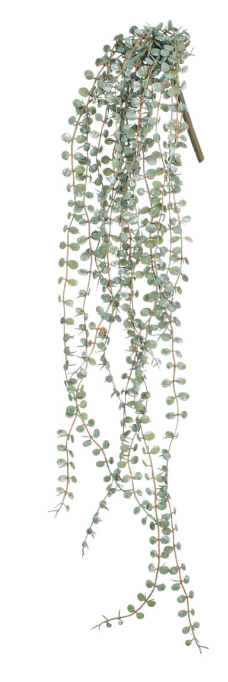 Mini Leaf Hanging plant