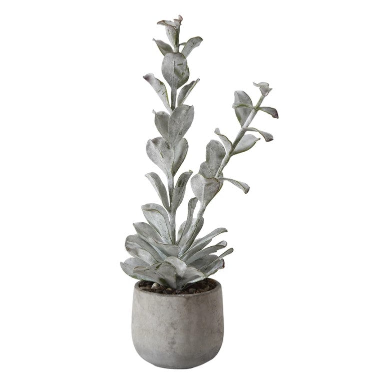 Faux Succulent