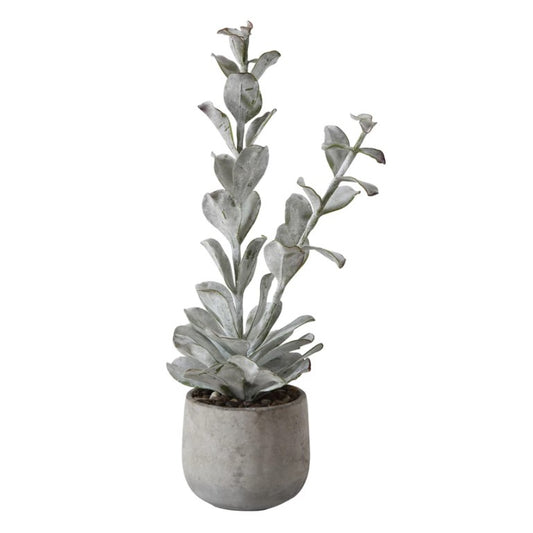 Faux Succulent