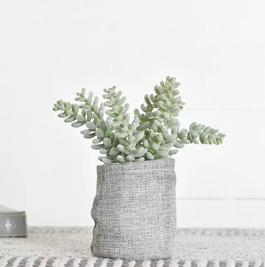 Flocking Succulent in Gunny Bag