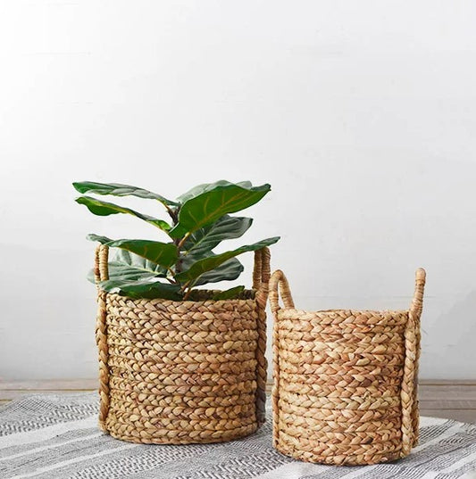 Hyacinth Tub