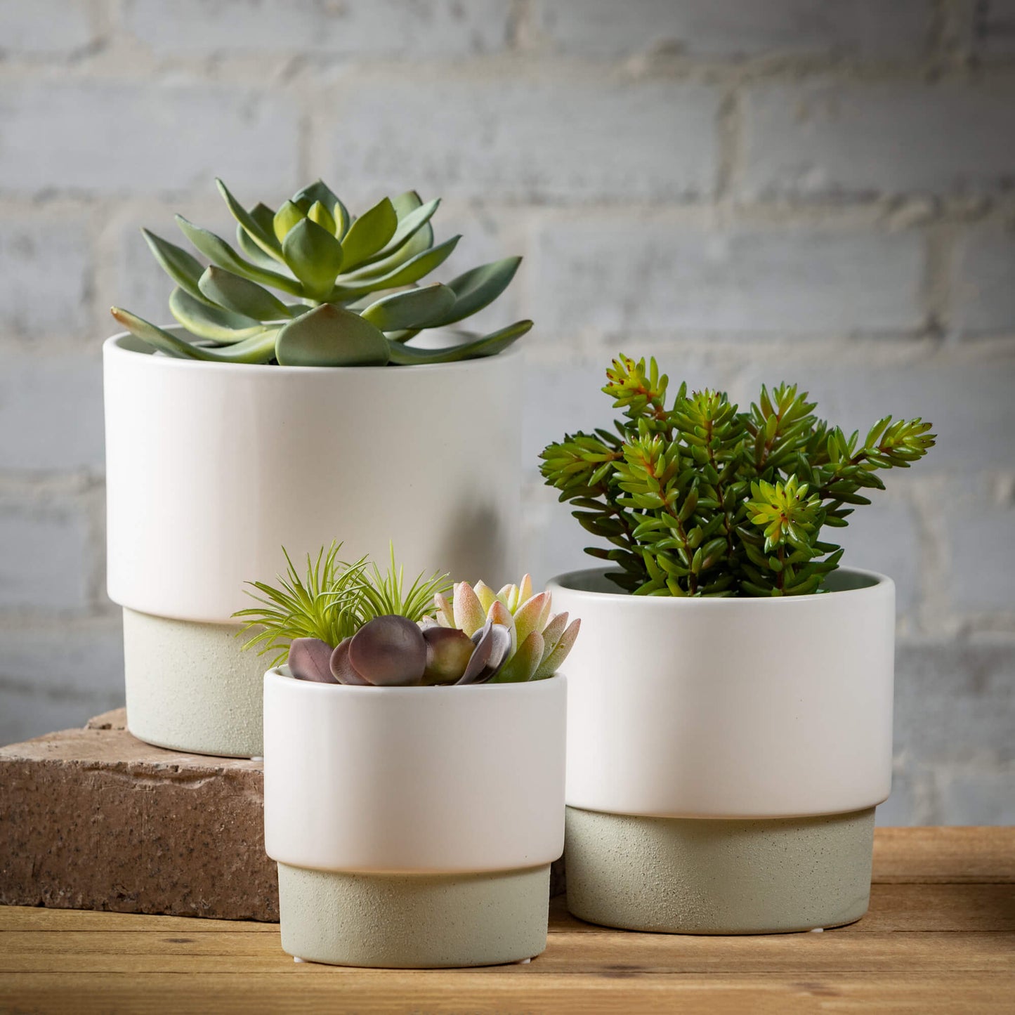 Rimmed Two-Toned Pots
