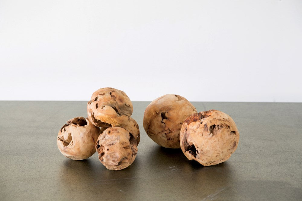Fir Root Orb